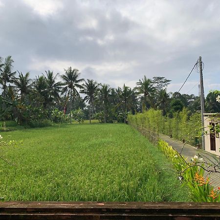 Adi Laxmi Villa Ubud Extérieur photo