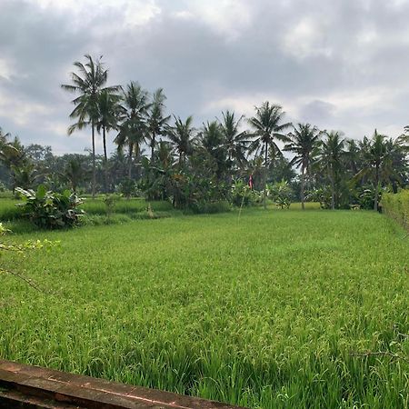 Adi Laxmi Villa Ubud Extérieur photo