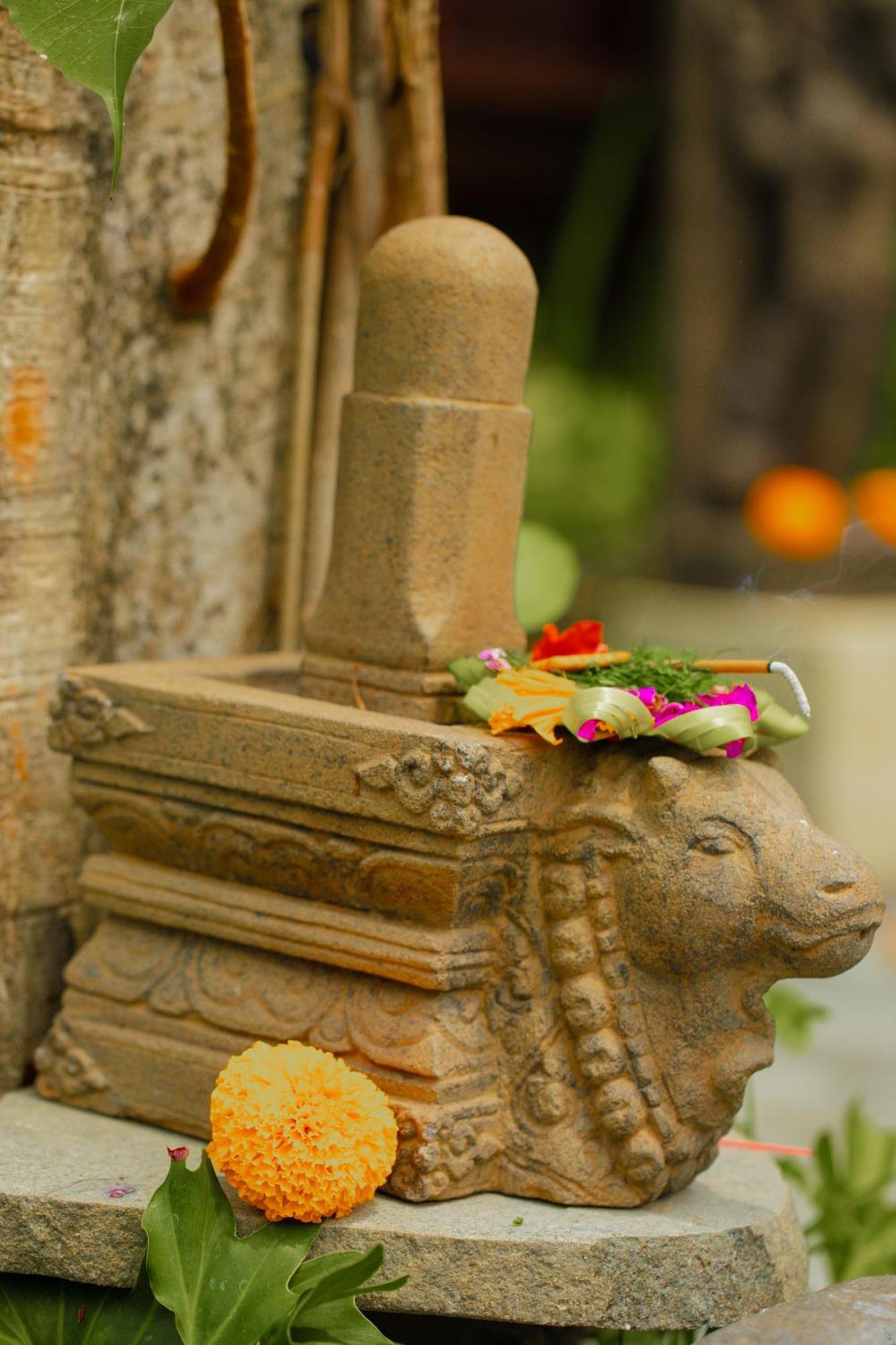 Adi Laxmi Villa Ubud Extérieur photo