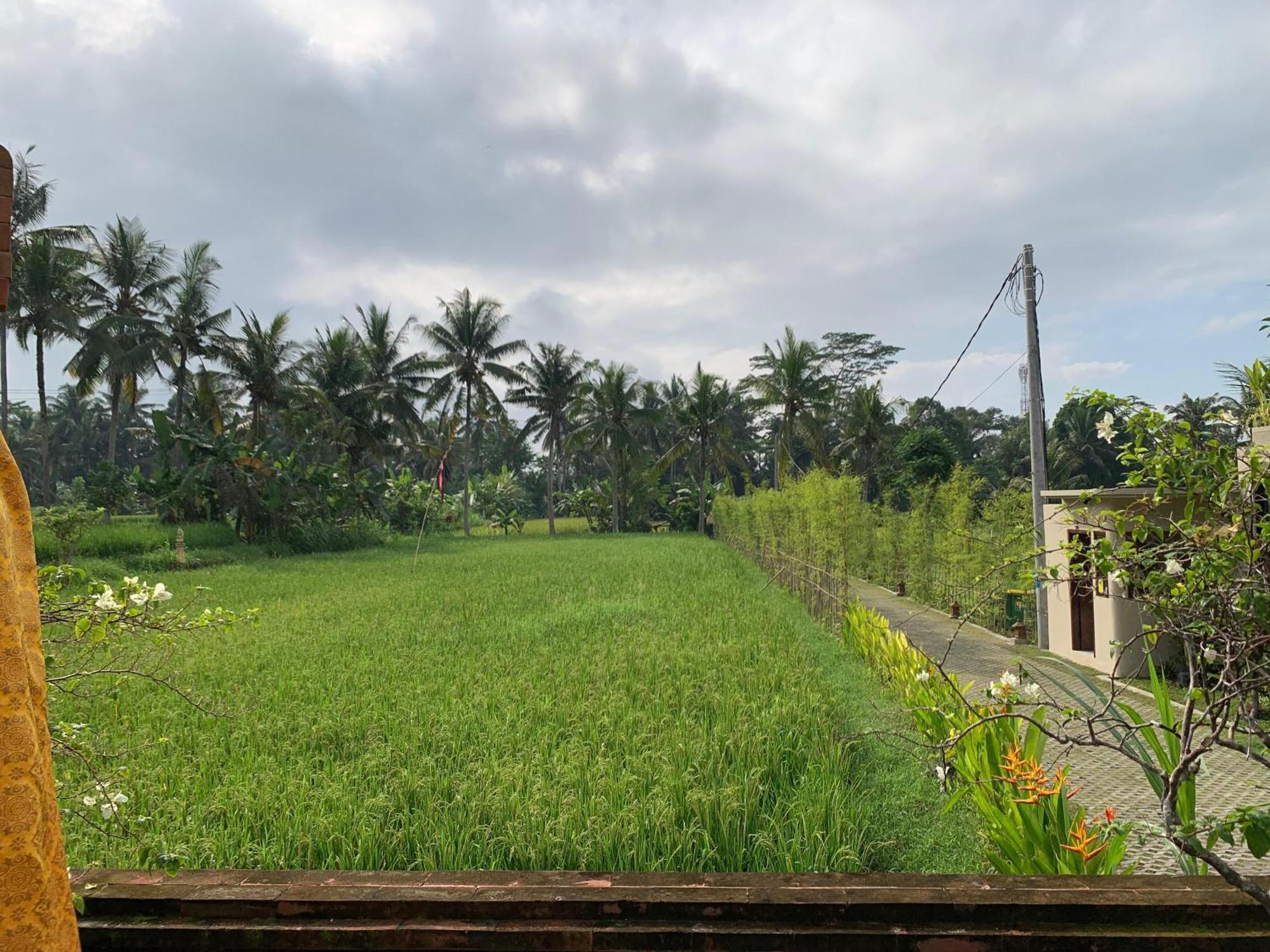 Adi Laxmi Villa Ubud Extérieur photo