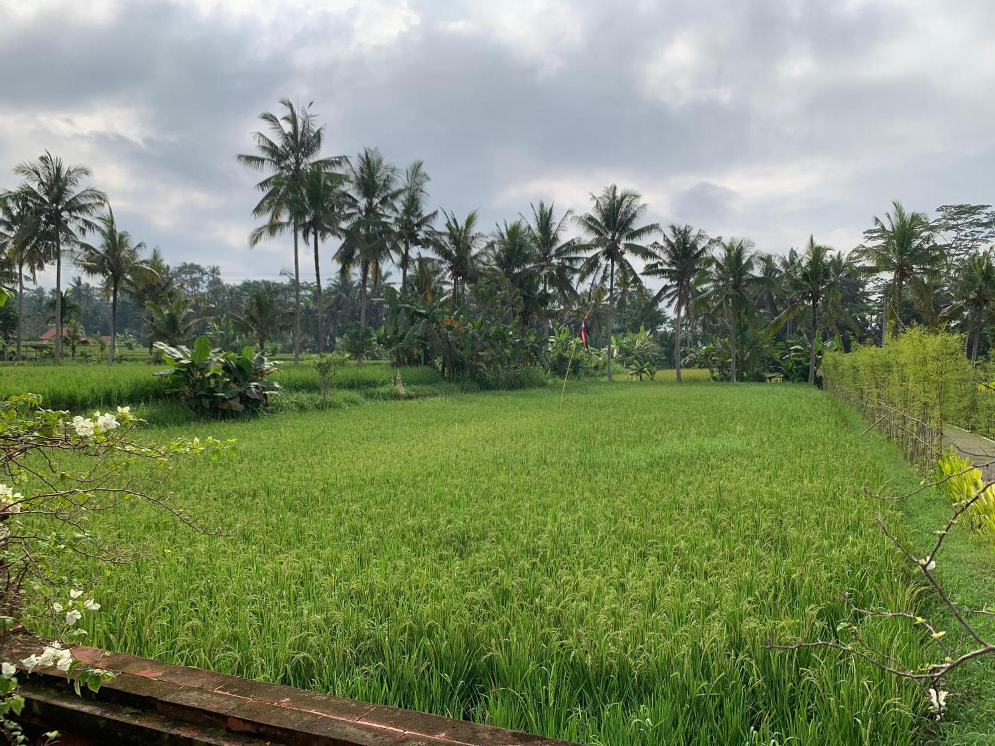 Adi Laxmi Villa Ubud Extérieur photo
