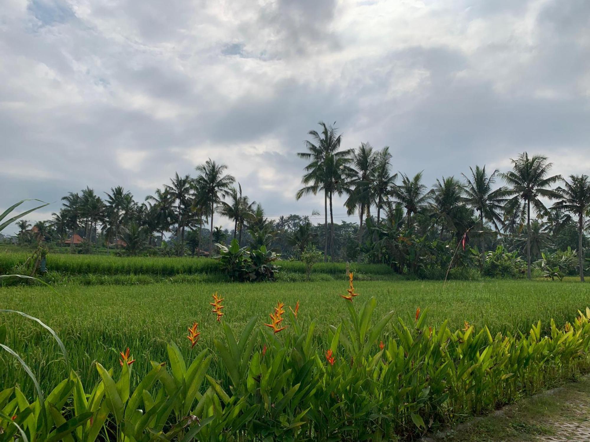Adi Laxmi Villa Ubud Extérieur photo